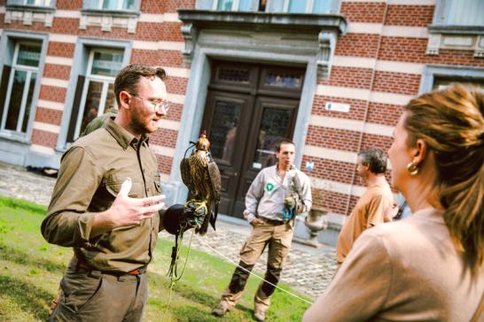 Een valkenier draagt een valk met een huifje (kapje) op zijn arm en doet een uitleg aan bezoekers.